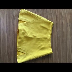 Zara Mini Skirt